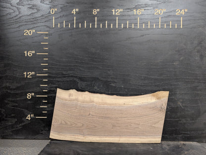 24" Walnut Live Edge Charcuterie Kit - My Store