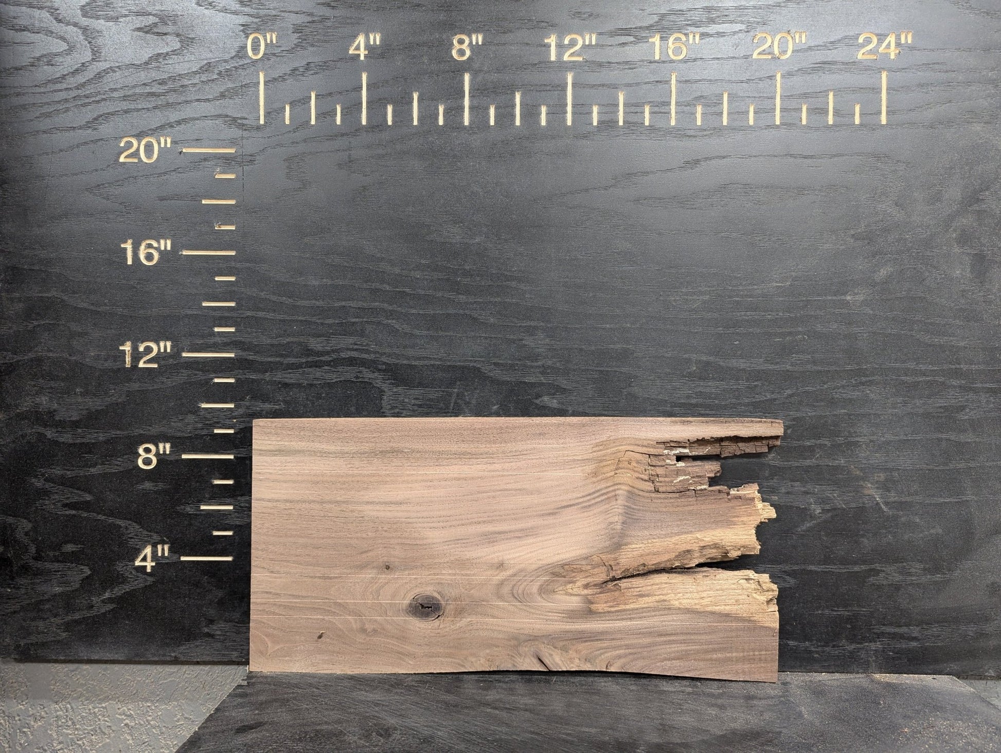 24" Walnut Live Edge Charcuterie Kit - My Store