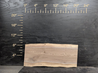 24" Walnut Live Edge Charcuterie Kit - My Store