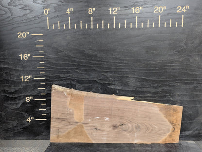 24" Walnut Live Edge Charcuterie Kit - Epoxy Required! - Ol Loggin Sawmill