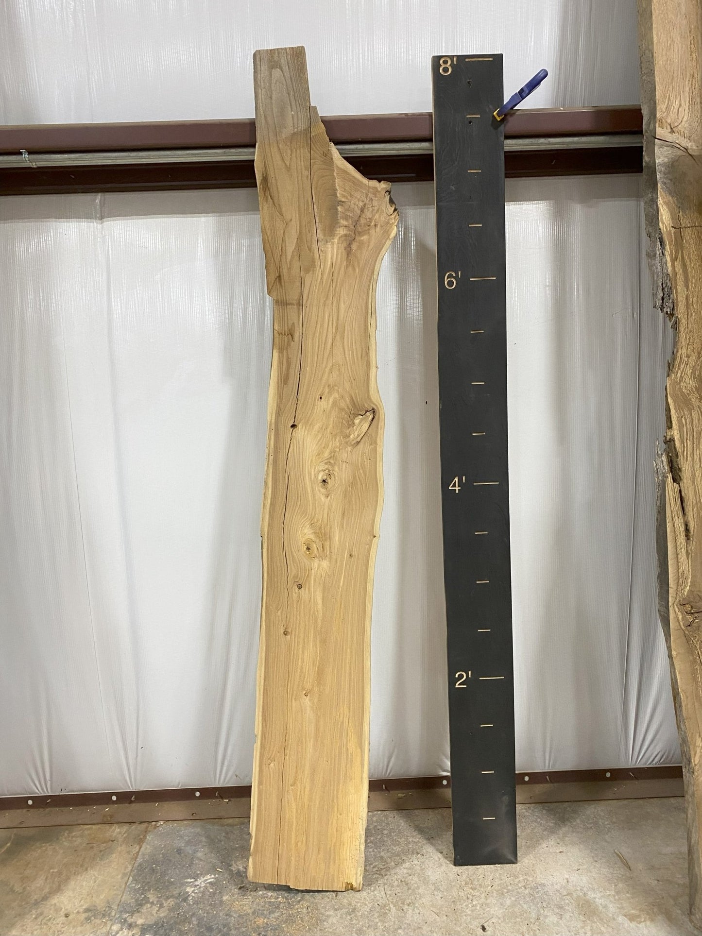 Elm Live Edge Wood Slab - 26.6 BF - Ol Loggin Sawmill