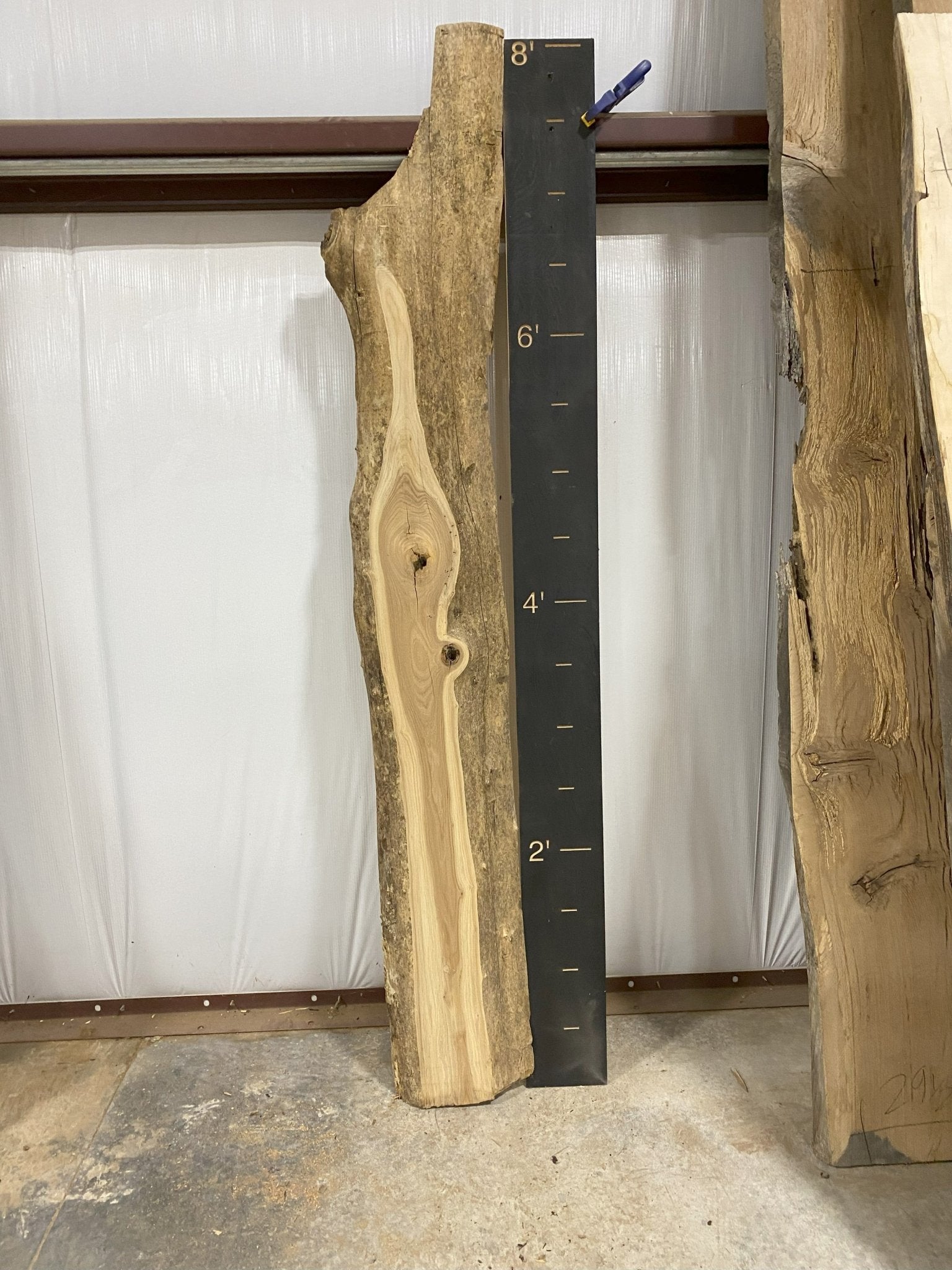 Elm Live Edge Wood Slab - 26.6 BF - Ol Loggin Sawmill