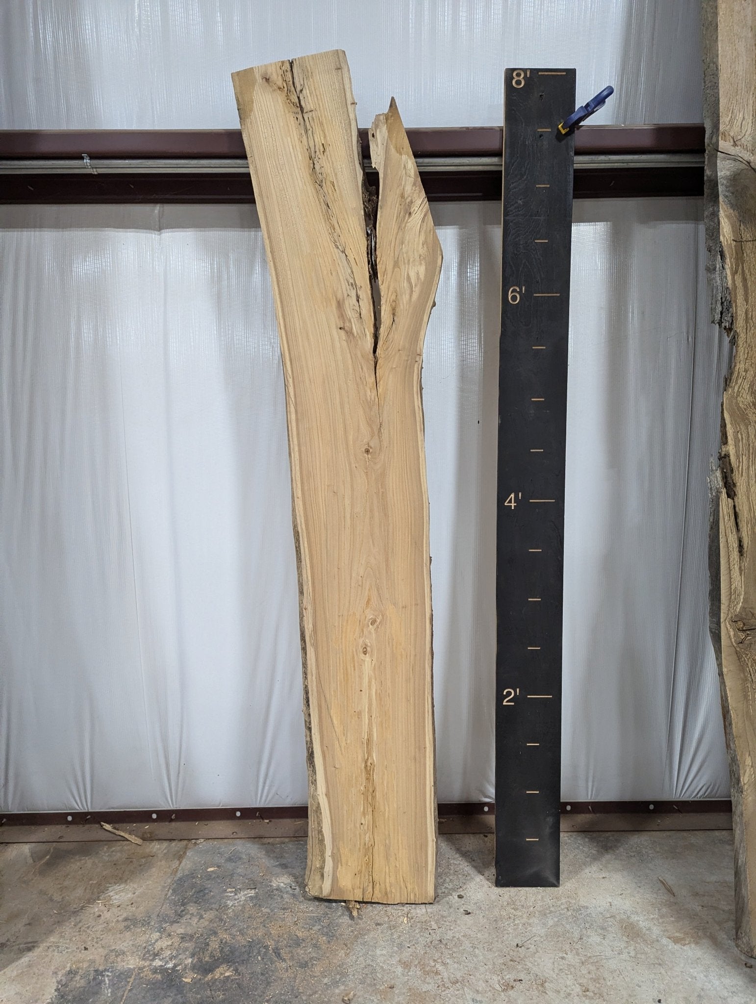 Elm Live Edge Wood Slab - 32.6 BF - Ol Loggin Sawmill