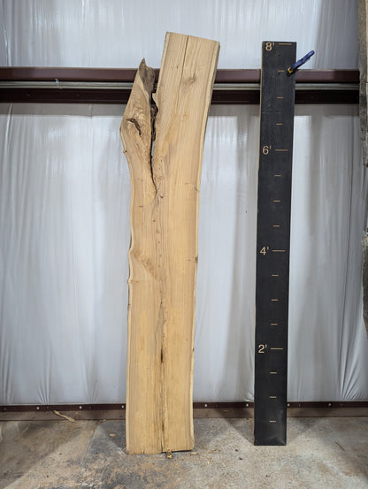 Elm Live Edge Wood Slab - 32.6 BF - Ol Loggin Sawmill