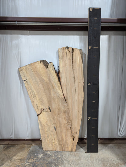 Spalted Maple Live Edge Wood Slab - 53 BF - Ol Loggin Sawmill