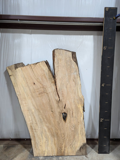 Spalted Maple Live Edge Wood Slab - 62.4 BF - Ol Loggin Sawmill