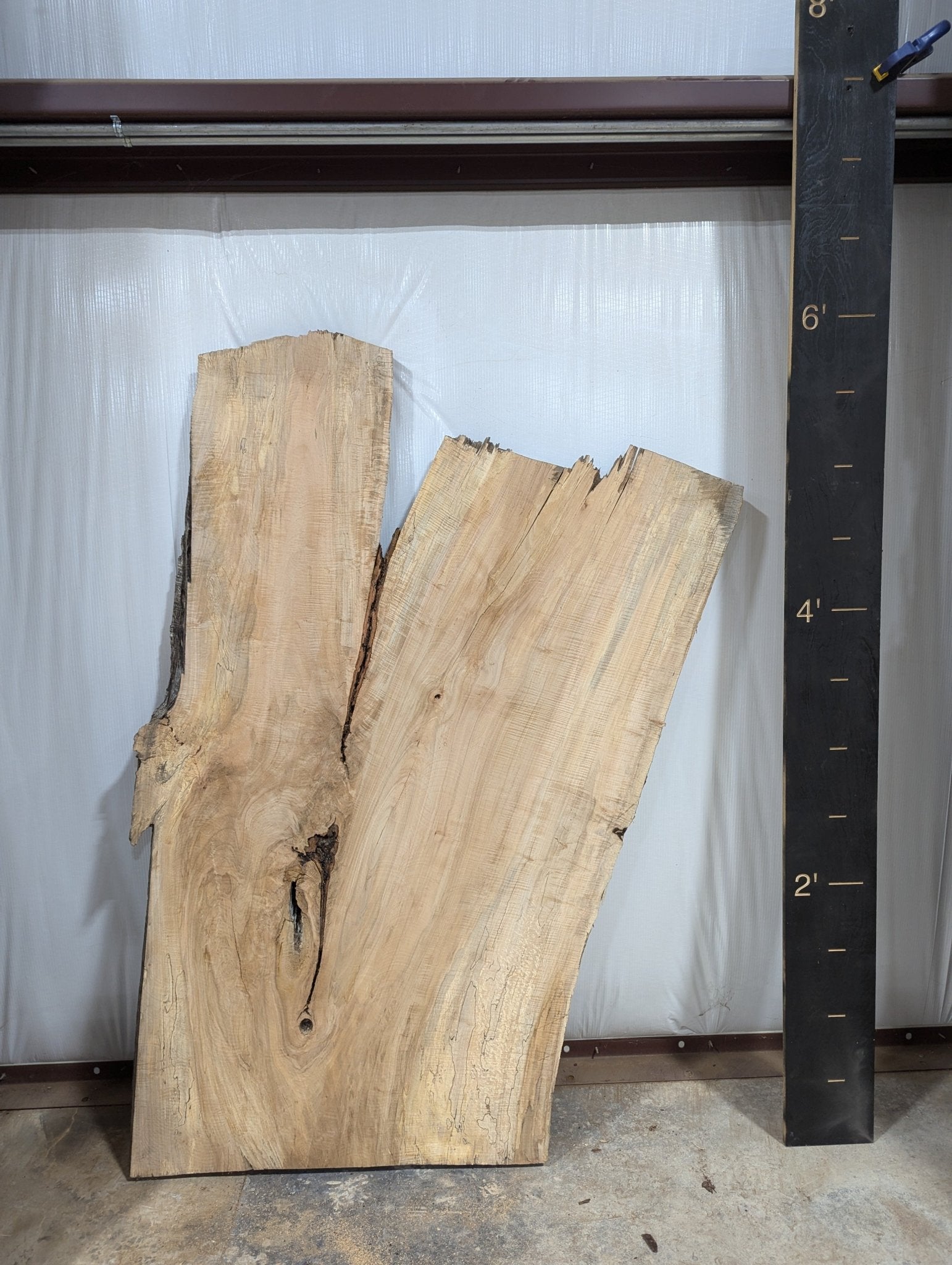 Spalted Maple Live Edge Wood Slab - 62.4 BF - Ol Loggin Sawmill