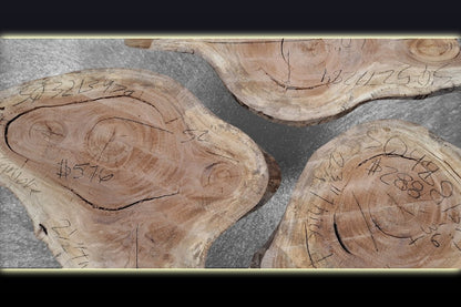 Sycamore Live Edge Wood Slab Cookie Bundle - My Store