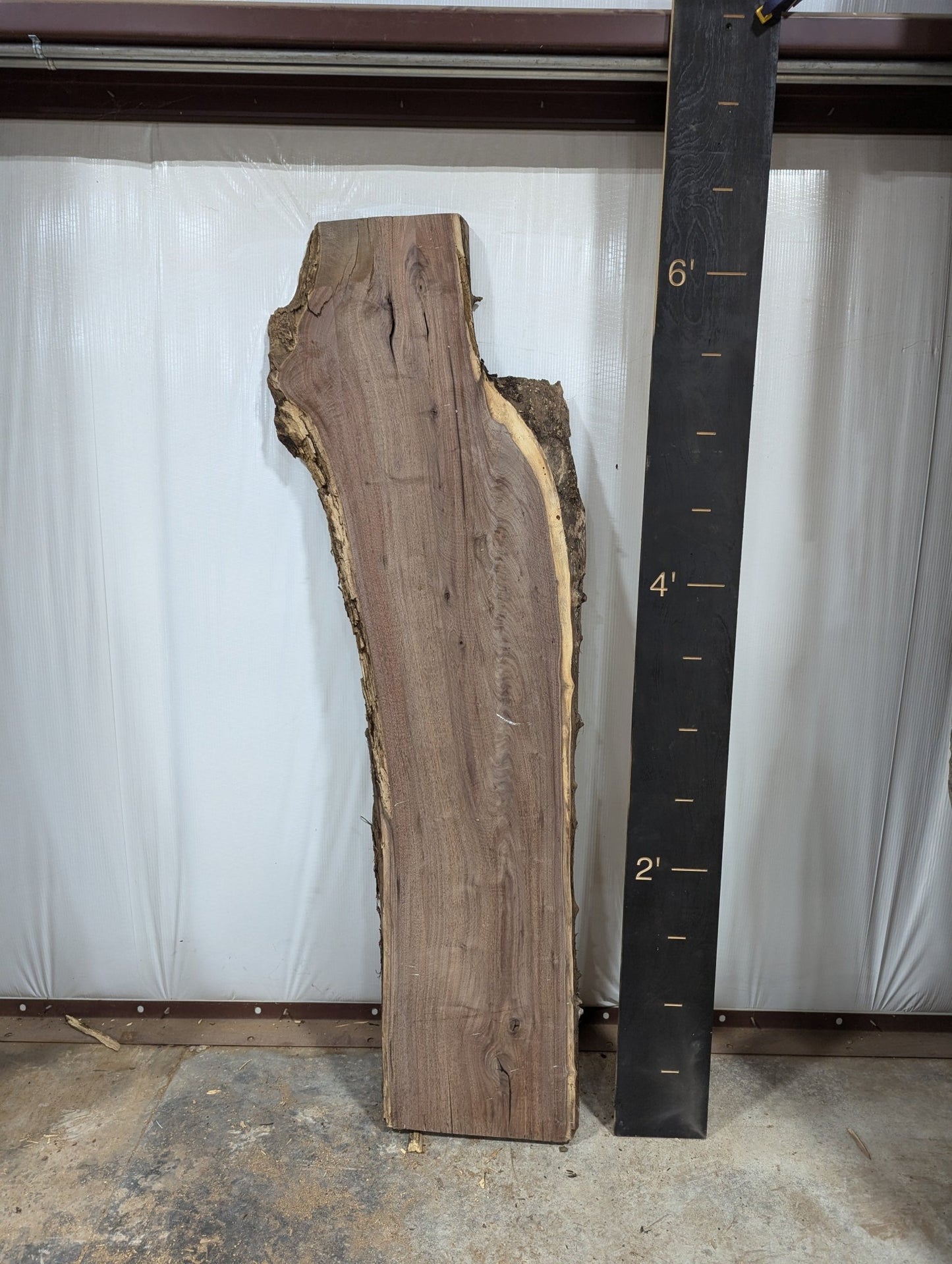 Walnut Live Edge Wood Slab - 32 BF - Ol Loggin Sawmill