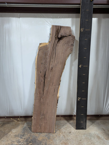 Walnut Live Edge Wood Slab - 32 BF - Ol Loggin Sawmill