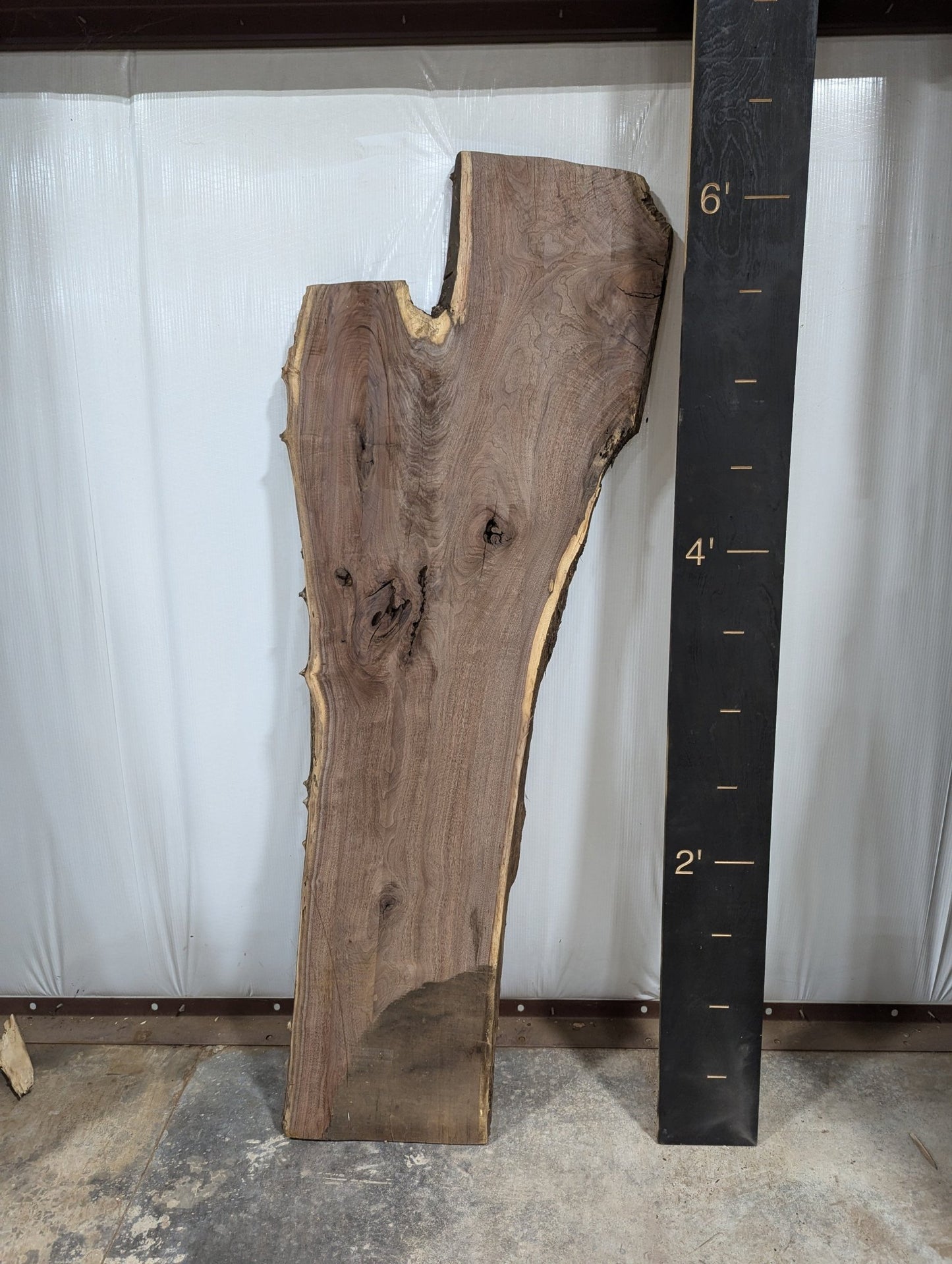 Walnut Live Edge Wood Slab - 34.5 BF - Ol Loggin Sawmill