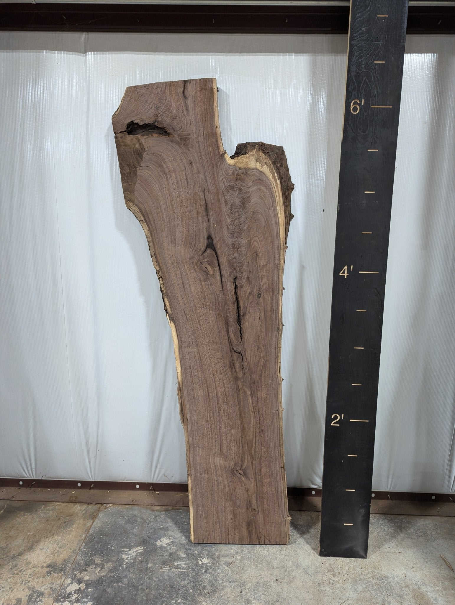 Walnut Live Edge Wood Slab - 34.5 BF - Ol Loggin Sawmill