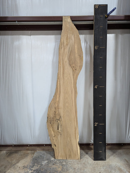 White Oak Live Edge Wood Slab - 23.91 BF - Ol Loggin Sawmill