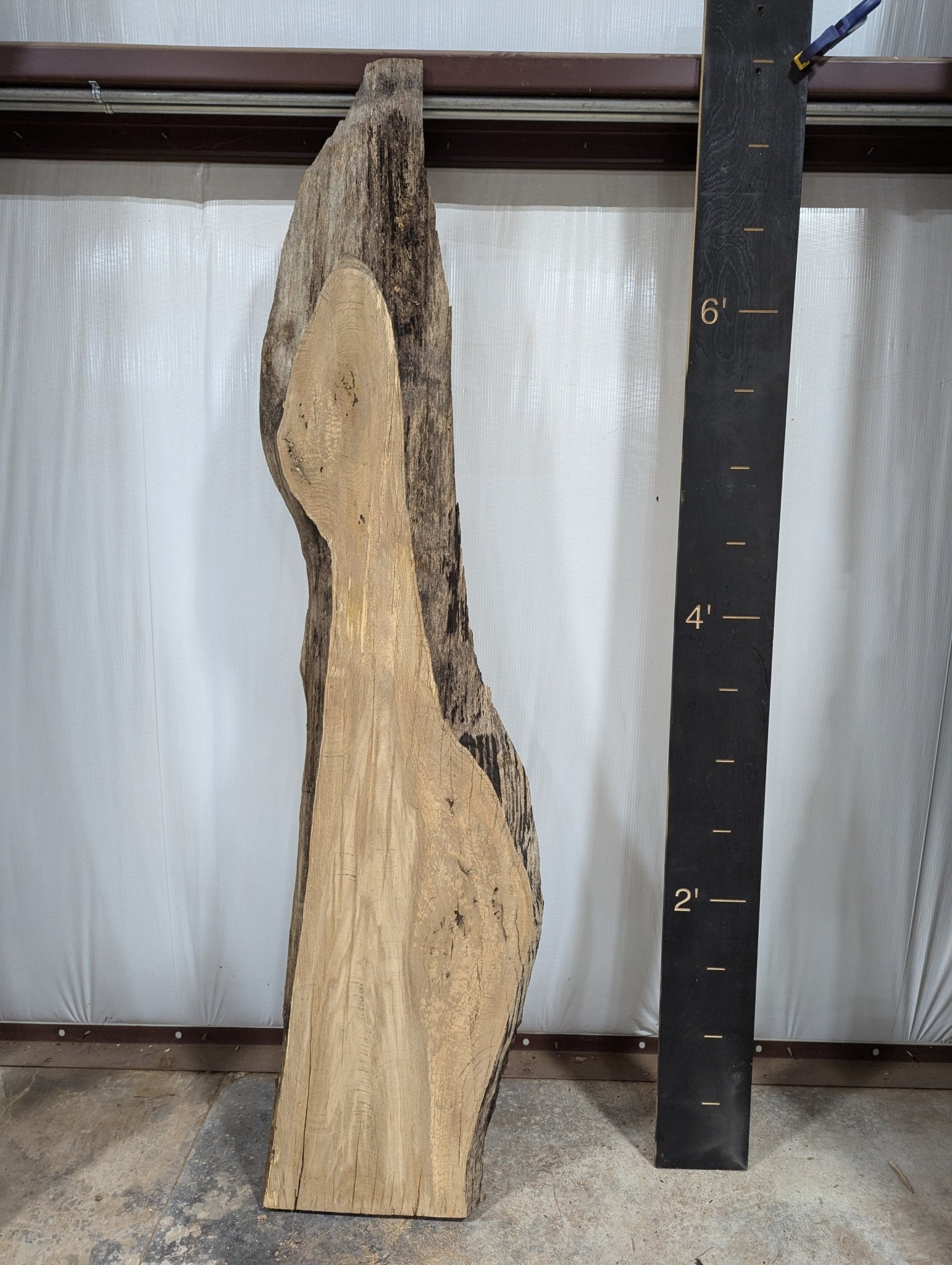 White Oak Live Edge Wood Slab - 23.91 BF - Ol Loggin Sawmill