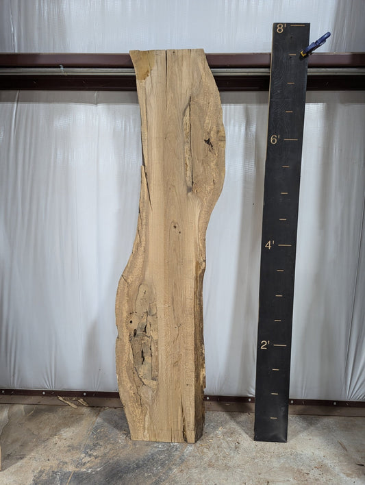 White Oak Live Edge Wood Slab - 31 BF - Ol Loggin Sawmill